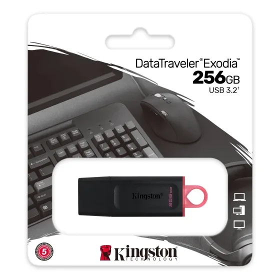 Kingston FD 256GB USB3.2 DTX